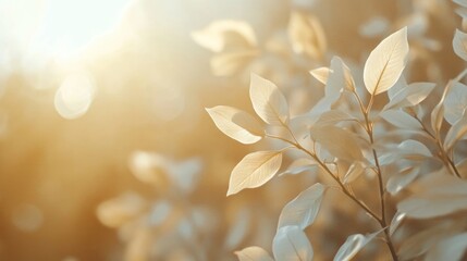 Poster - Close up of autumn leaves illuminated by soft sunlight creating a warm atmosphere with ample empty space for text or design elements