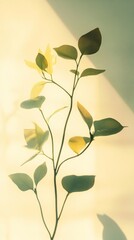 Wall Mural - Delicate Sunlight-Kissed Leaves: A Tranquil Botanical Still Life