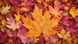 © Sutarto Stock - High-resolution image of vibrant autumn leaves in warm orange, red, and burgundy hues, forming a natural background texture.