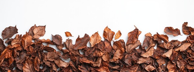 Leinwandbilder - Dried brown leaves on a white background creating a natural border with ample copy space for text or design use.