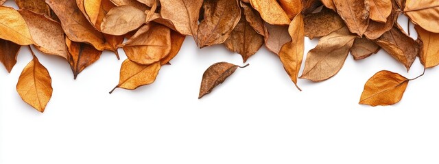 Leinwandbilder - Dried orange leaves arranged with a top border on a white background creating a space for text or design elements