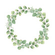 © Masha_tolk_art - Watercolor green eucalyptus leaves wreath. Silver dollar tree foliage illustration with copy space for text. Floral round frame for stationary, wedding and birthday arrangement, invitation