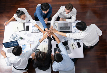Fototapete - Top view diverse office worker join hand together in office room symbolize business synergy and strong productive teamwork in workplace. Cooperation and unity between business employee. Prudent