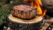 © AGUNG - Grilled steak campfire cooking outdoors wilderness