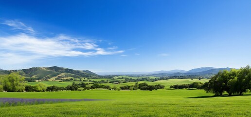 Wall Mural - Sunny valley farmland, blue sky, green grass. Peaceful landscape