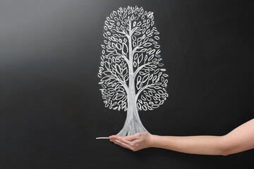 Wall Mural - Woman pretending to hold tree drawn on chalkboard, closeup