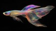 © leymart - Vibrant iridescent guppy fish with flowing fins isolated on black background.