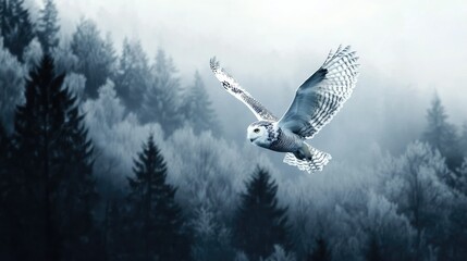 Wall Mural - Snowy owl flying near the treetops of a frosty forest, blending perfectly with the wintry environment
