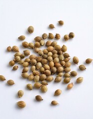 Wall Mural - A scattering of coriander seeds on a white background.  Earthy tones and natural textures.