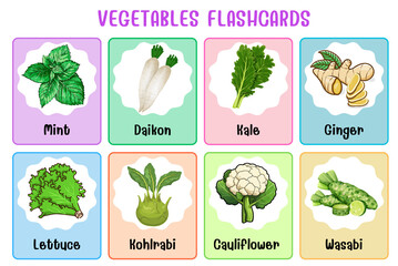 Wall Mural - vegetables flashcard collection for children education, printable montessori material