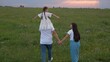 © TO LOVE - happy family, father mother child kid park, child kid with parents nature, childhood open air, childhood dream, dad carries daughter shoulders green meadow, children game airplane pilot, dream fly