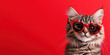 © Vasiliy - Gray cat in heart shaped sunglasses on red background. Valentines day and pets lifestyle content
