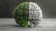 © Vitalii - Conceptual illustration of half broccoli and brain symbolizing health and nutrition