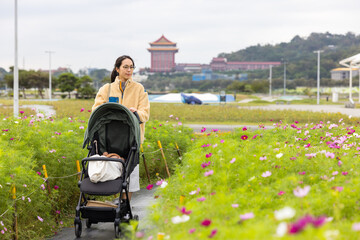 Wall Mural - Mother walking with baby stroller in flower park