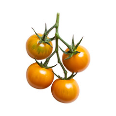 Wall Mural - Cluster of ripe yellow tomatoes on a transparent background for culinary use