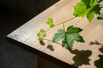 Canvas Print - fresh parsley on a wooden board