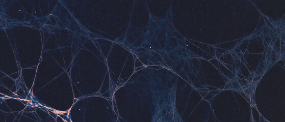 Intricate spider web texture overlay with delicate threads on a black background