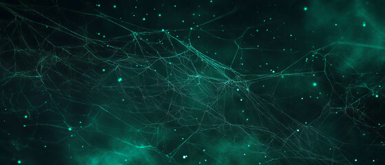 Intricate spider web overlay with natural elements set against a dark background