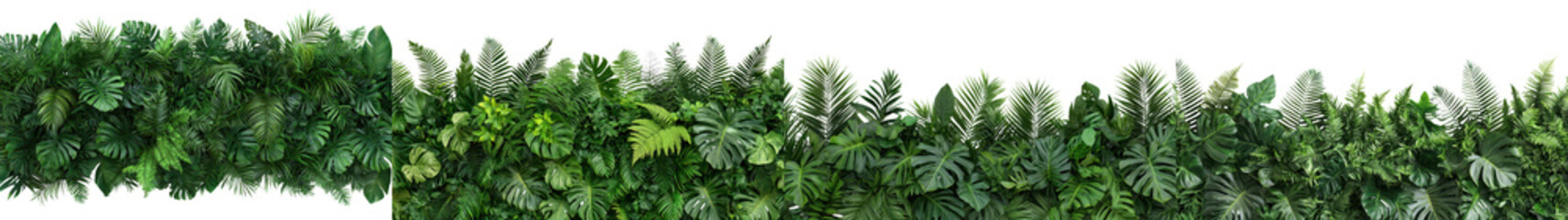 Wall Mural - Lush Tropical Foliage Backdrop with Diverse Greenery and Vegetation