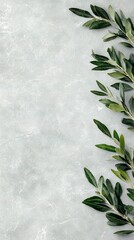 Wall Mural -   A detailed photo of a verdant plant on a crisp white backdrop with room for added text or graphics