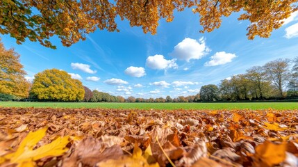 Wall Mural - Vibrant autumn landscape with golden leaves and blue sky in tranquil park setting