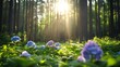 © Sebelas Studio - Sunlit Hydrangeas in Pine Forest