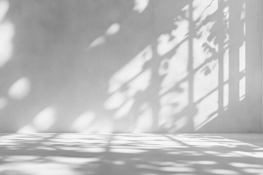 PNG Empty White background minimalist abstract shadows.