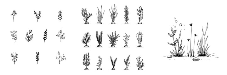 Wall Mural - seaweed doodle outline set for modern use. ideal for logos, icons, greeting cards, or tattoos. prese