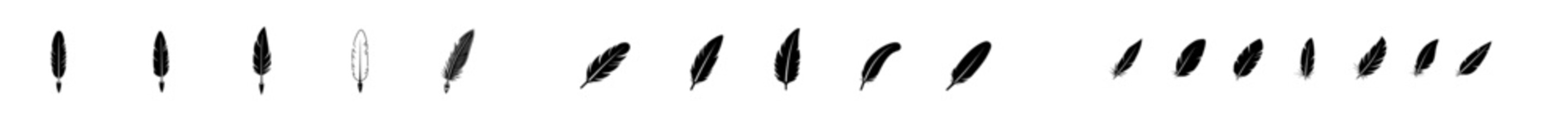 Wall Mural - bird feather set line icon. modern set of feathers in a flat style. pen icon. silhouette of a black 