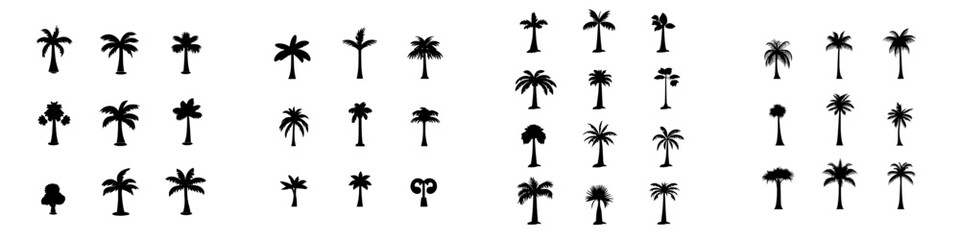 Wall Mural - modern palm trees, palm tree icon set isolated. palm silhouettes. design template for tropical, vaca