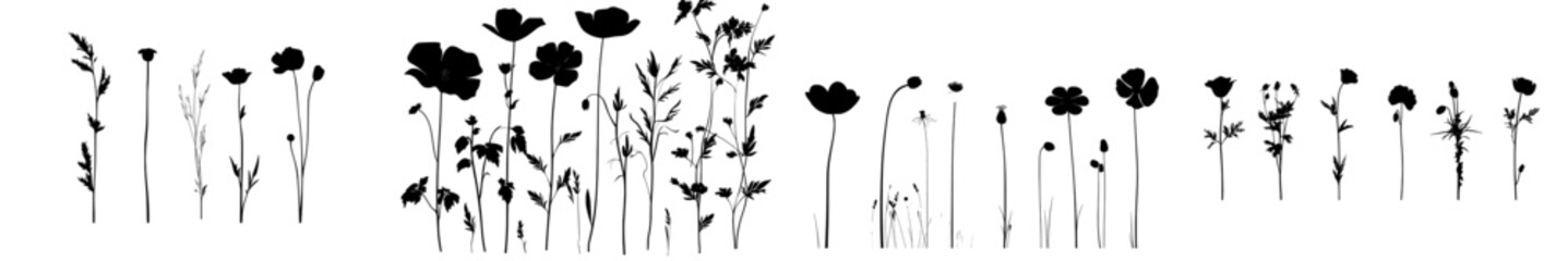 Wall Mural - Stylized floral silhouettes with black flower and plant outlines on a white background, ideal for minimalist designs and artistic projects