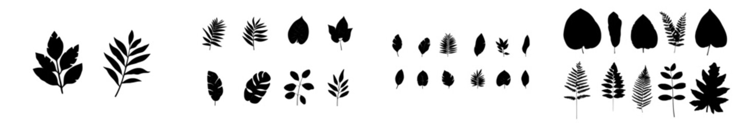 Wall Mural - tropical leaves in an abstract black flat silhouette form for a modern design, including drawing, cl