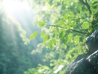 Canvas Print - Experience an idyllic summer day with a warm breeze, golden sunlight filtering through the lush green leaves, and soft rustling leaves creating a tranquil atmosphere This captivating image showcases