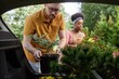 © Seventyfour - Shot through open car trunk of male client buying small pine tree in plant nursery loading pot into automobile while female assistant helping in background