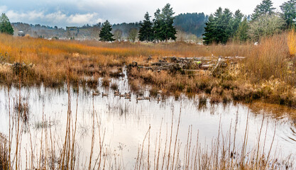 Wall Mural - Winter River Greese