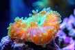 © Livinskiy - Diverse ecosystems: vibrant and muted coral reefs - exploring the effects of climate change on ocean biodiversity and species variety