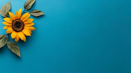 Wall Mural - vibrant sunflower on a blue background