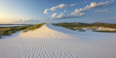 Sticker - Artistic natural elements swirling sand dunes at golden hour revealing gentle hues and elongated shadows evoking serenity and boundless horizons.