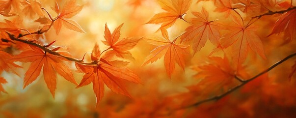 Wall Mural - Orange maple leaves turning color in autumn sunlight