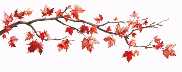 Poster - Solitary maple tree branch displaying stunning red autumn foliage
