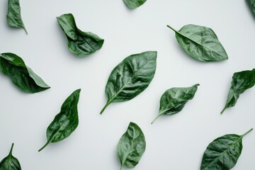 Wall Mural - Fresh ashitaba leaves, isolated, green and white, nutrition and wellness concept