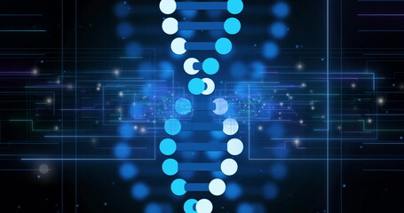 Wall Mural - image of dna strand over blue interface outlines and white light spots on black background