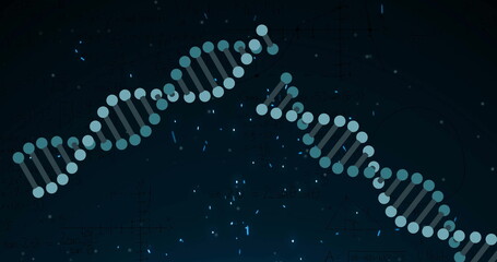 Wall Mural - image of dna strands over light spots on black background
