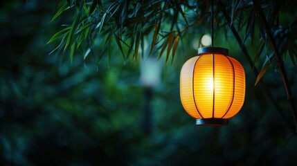 Wall Mural - Serene illuminated lantern amidst bamboo foliage