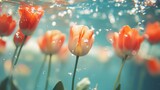 Vibrant tulips submerged underwater exhibit their natural beauty as bubbles rise around their delicate petals, creating a tranquil atmosphere