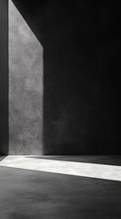 Wall Mural - sunlight illuminates a dark, minimalist concrete room.