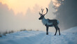 © huaomanz - Reindeer in Foggy Winter Scene