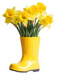 © Rawpixel.com - PNG Yellow daffodils boot flowers spring.