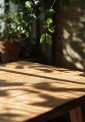 Wall Mural - Sunlight streams through leaves onto a wooden table.