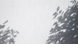 © ura ho - Minimal Abstract Expression of Leaf Shadows on a White Wall
